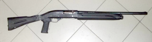 9816128.jpg