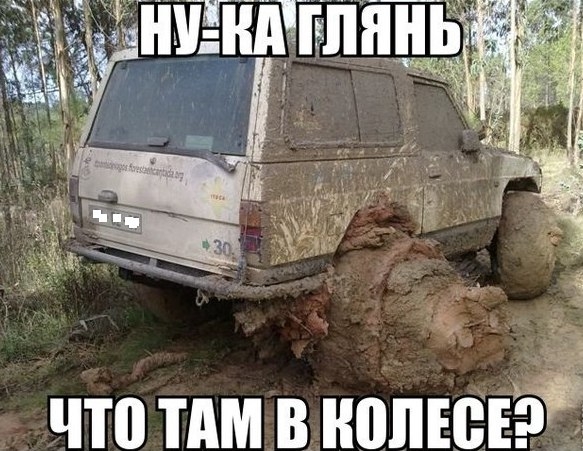 VK_Saved_Photo_ 636136259055164539.jpg