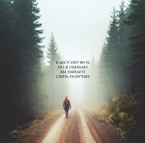 VK_Saved_Photo_ 636136261536257080.jpg