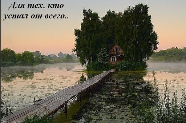 VK_Saved_Photo_ 636136260282582545.jpg