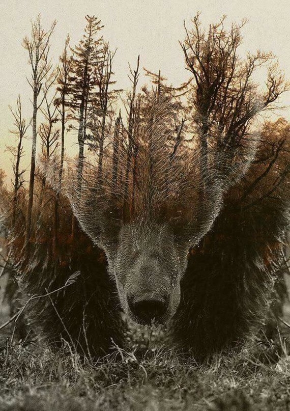 VK_Saved_Photo_ 636136774187412656.jpg