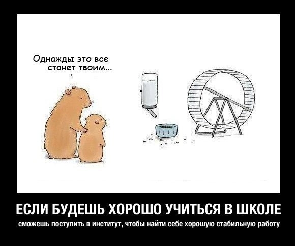 VK_Saved_Photo_ 636134964744221403.jpg