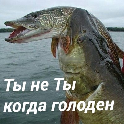 VK_Saved_Photo_ 636137173618358744.jpg