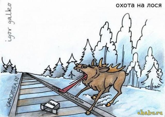 Копия post-323-0-49821800-1361946022_thumb.jpg