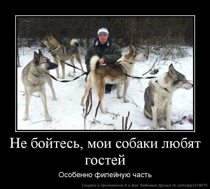 VK_Saved_Photo_ 636139394601408726.jpg