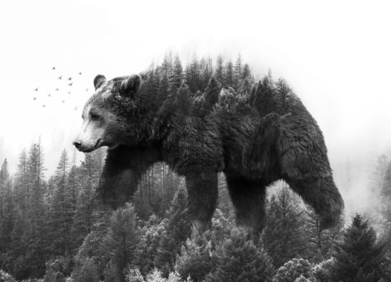 VK_Saved_Photo_ 636139392048921438.jpg