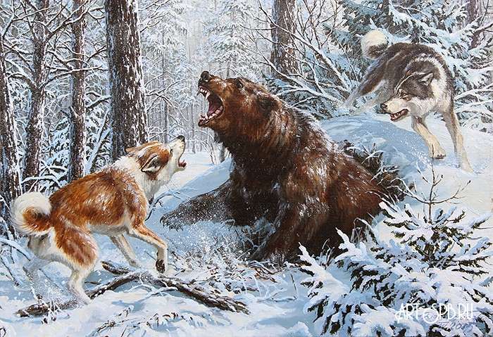Рисунок медведь и собака