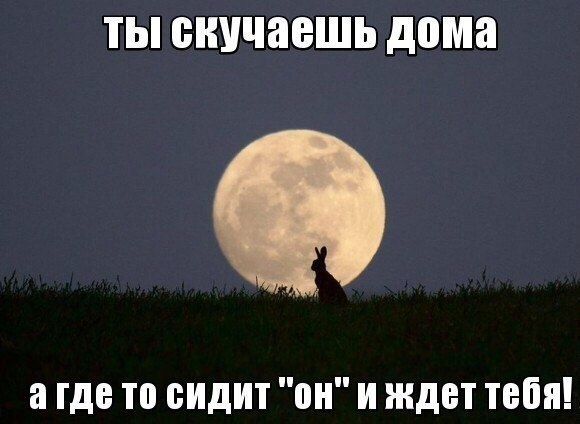 VK_Saved_Photo_ 636143005665959873.jpg