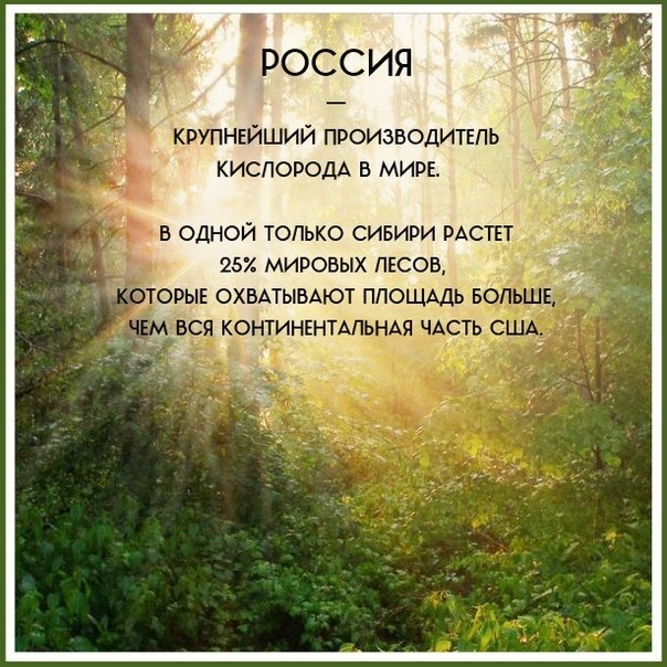 VK_Saved_Photo_ 636144865242428384.jpg