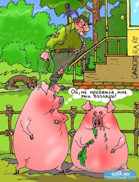 VK_Saved_Photo_ 636144876385574401.jpg