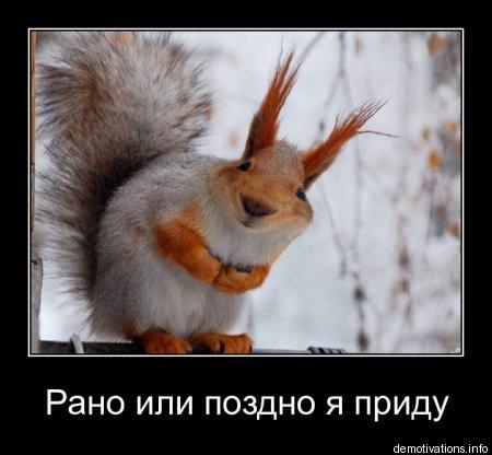 VK_Saved_Photo_ 636147156480571753.jpg