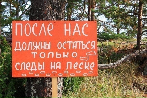 VK_Saved_Photo_ 636147362431800633.jpg