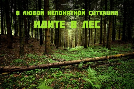 VK_Saved_Photo_ 636147393609118463.jpg