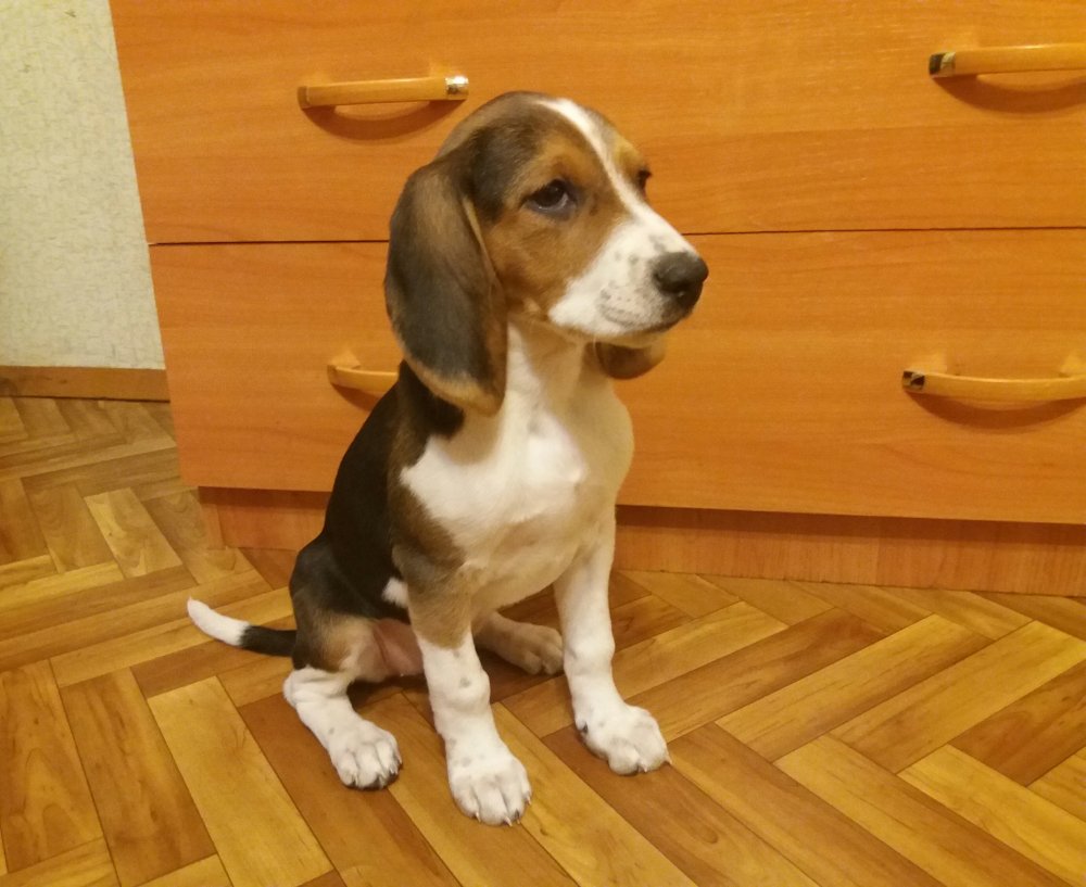 20161117_191452.jpg