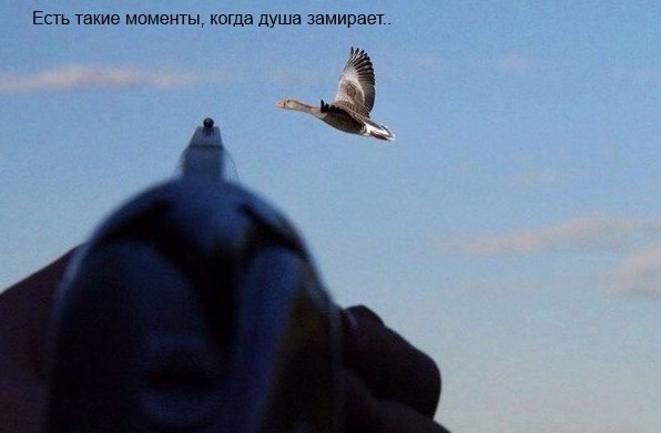 VK_Saved_Photo_ 636150528962703190.jpg