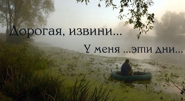 VK_Saved_Photo_ 636150645911799485.jpg