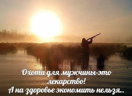 VK_Saved_Photo_ 636150552139558255.jpg