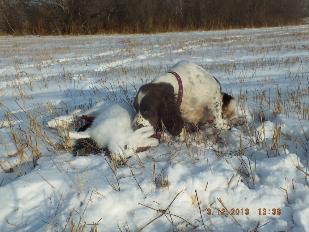 DSCF0760.JPG