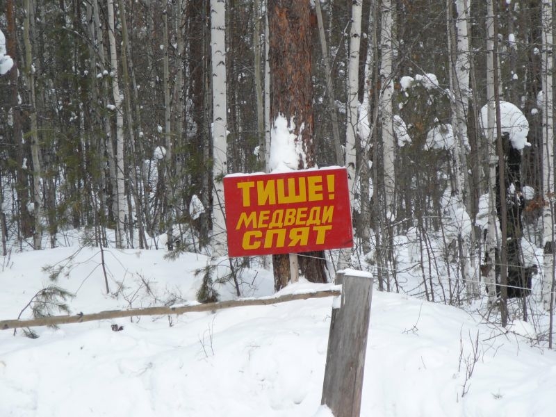 VK_Saved_Photo_ 636154057470823044.jpg