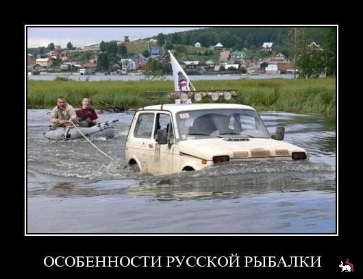 VK_Saved_Photo_ 636154066325865903.jpg