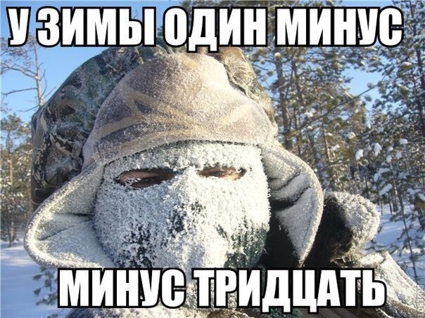 VK_Saved_Photo_ 636167185591976585.jpg