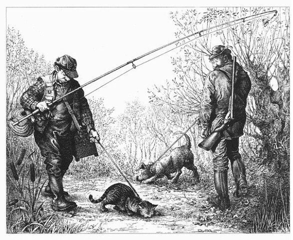 VK_Saved_Photo_ 636167308573763124.jpg