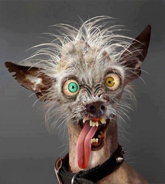 VK_Saved_Photo_ 636169032118896016.jpg