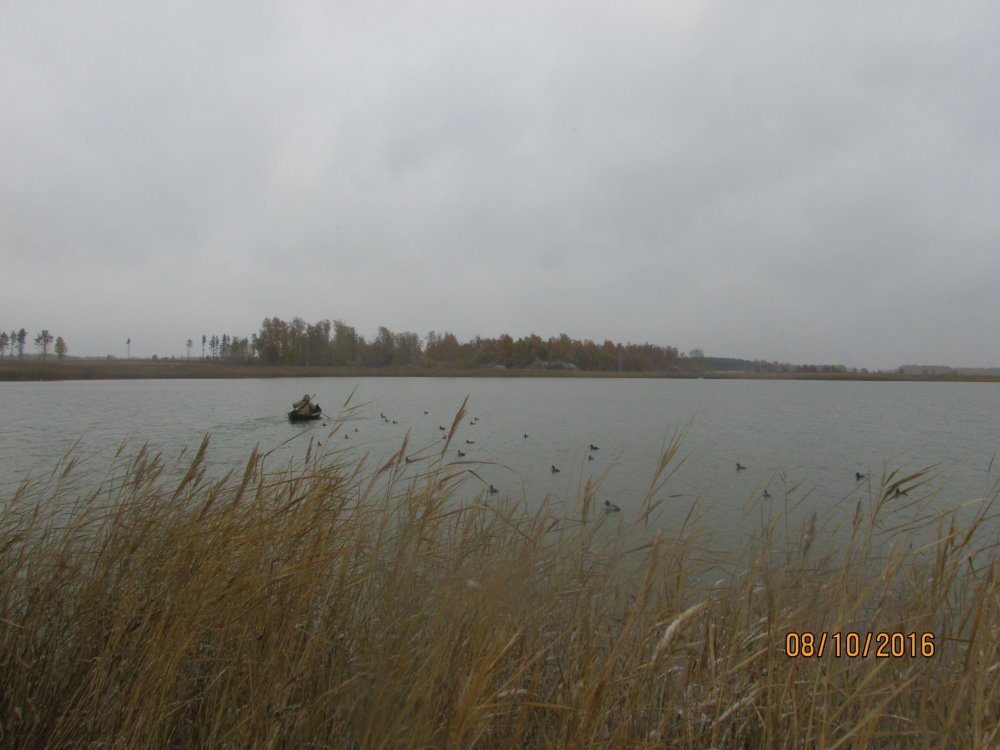 охота с Зае В и И 020.jpg