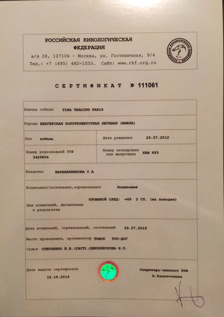 Сертификат 2.jpg