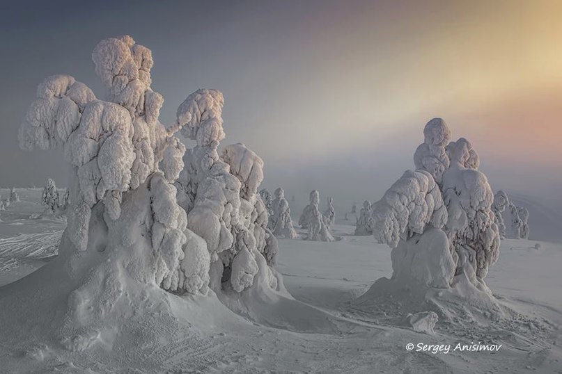 VK_Saved_Photo_ 636183660583483037.jpg