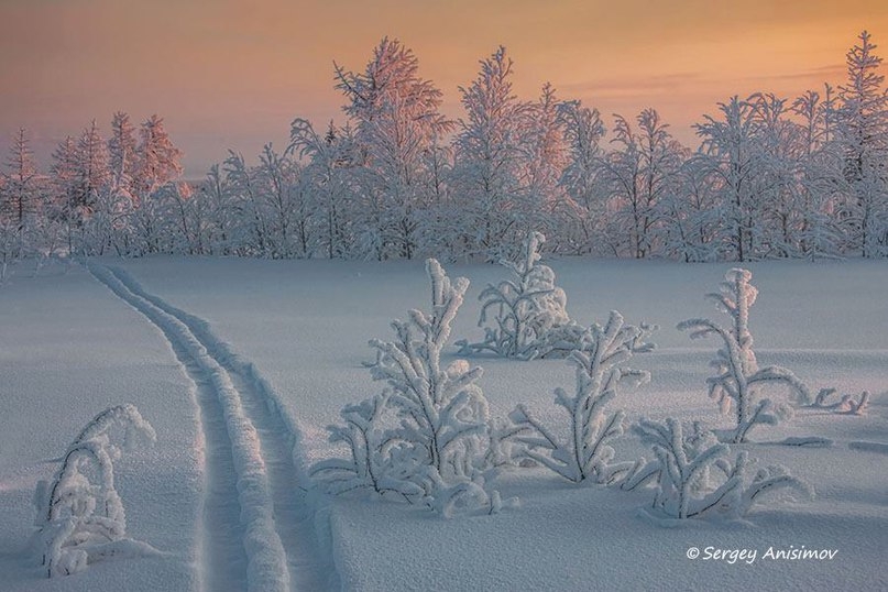 VK_Saved_Photo_ 636183661971205392.jpg