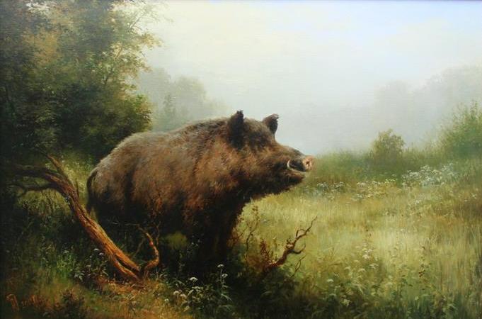 кабан секач..jpg