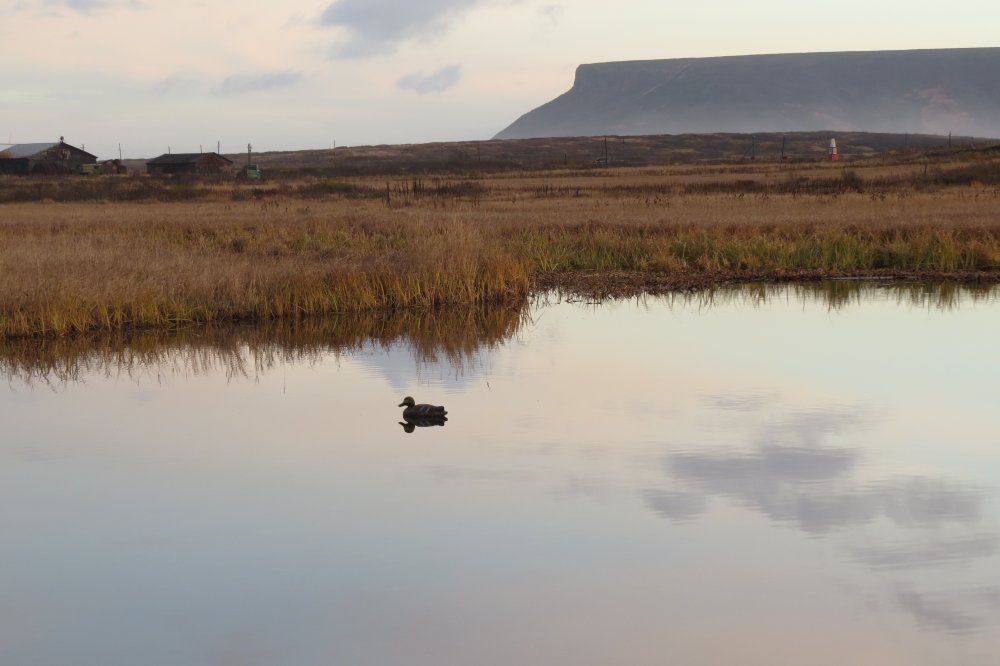 27 окт 15 004.jpg