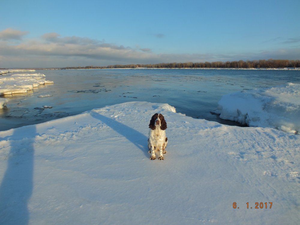 DSCF8313.JPG