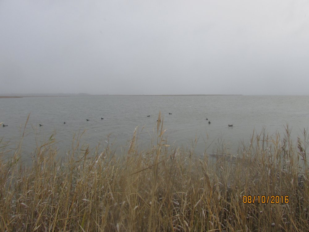 охота с Зае В и И 013.jpg