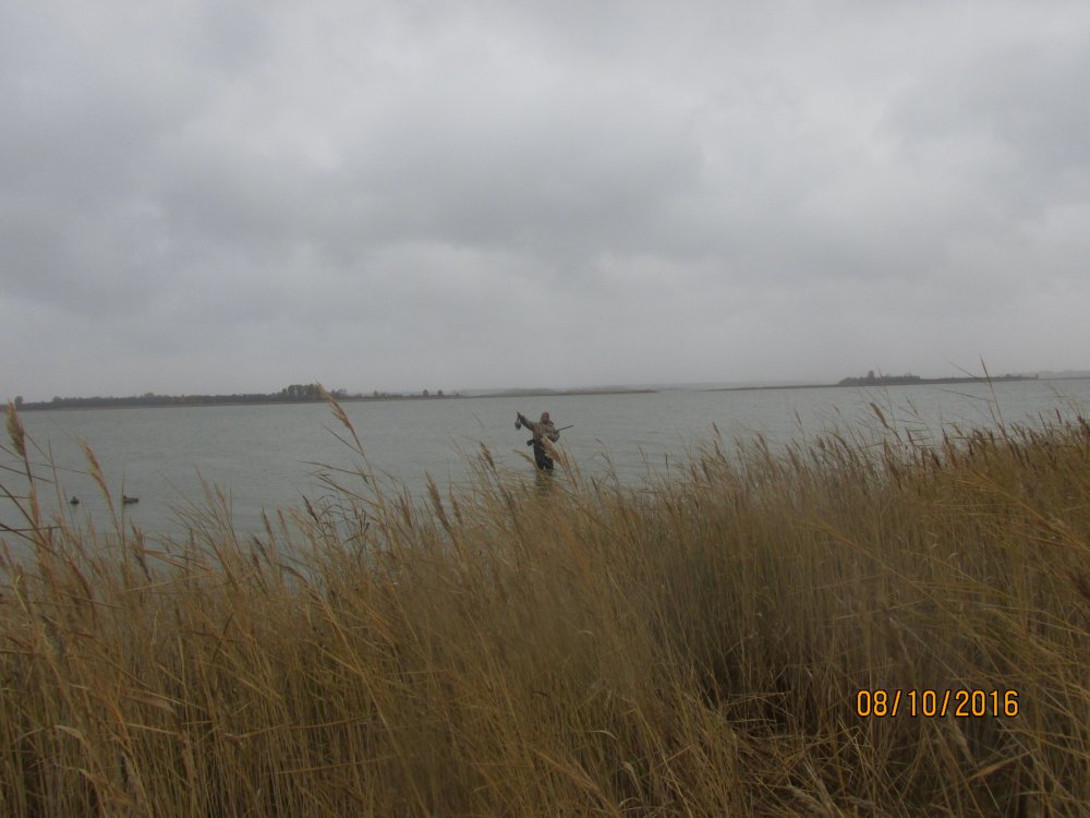 охота с Зае В и И 026.jpg