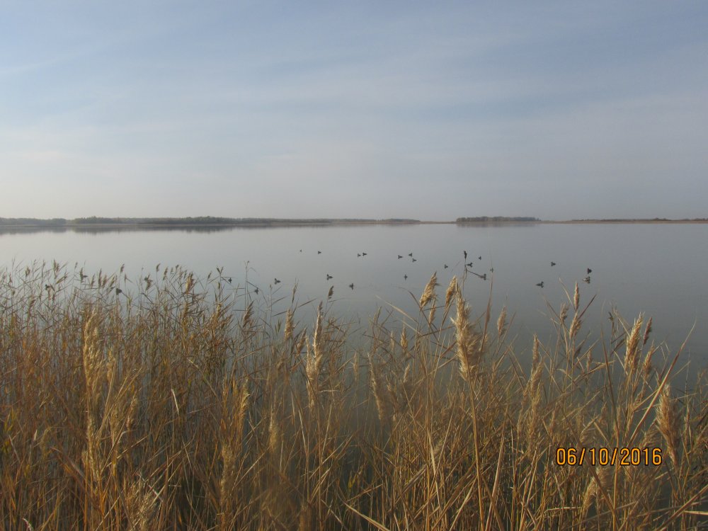 охота с Зае В и И 004.jpg