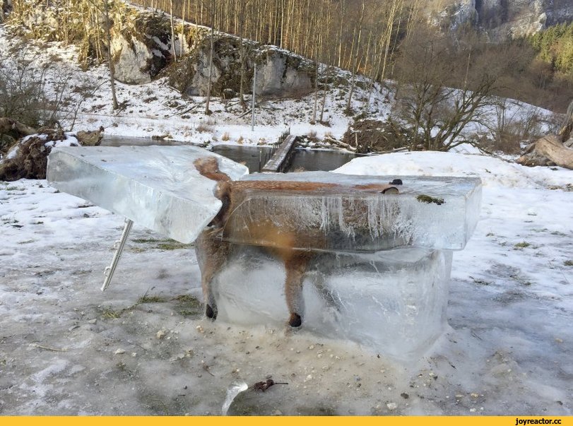 C__Data_Users_DefApps_AppData_INTERNETEXPLORER_Temp_Saved Images_зима-Баян-3600321.jpg