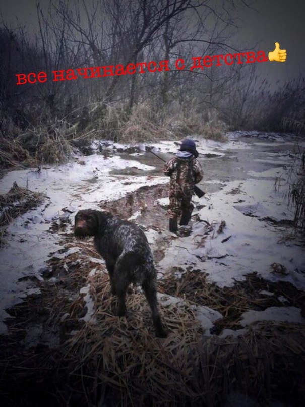 VK_Saved_Photo_ 636201561607983292.jpg