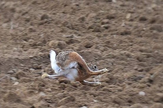 VK_Saved_Photo_ 636201554316177681.jpg