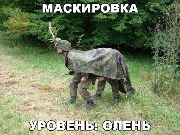 VK_Saved_Photo_ 636201931236144345.jpg