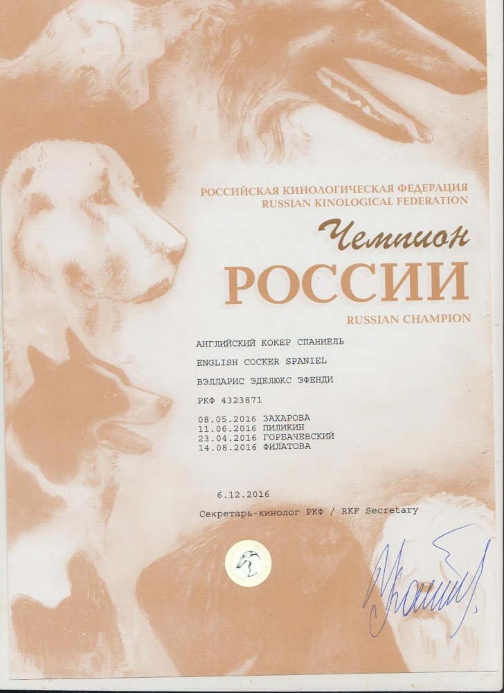 Феня ЧР.jpg