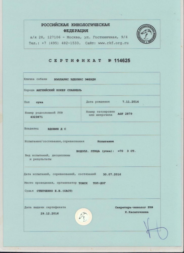Феня сертификат Томск.jpg