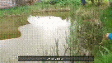 ok-saved-image-9CFF36BCD5F94246CF5EAE50475E4290.gif