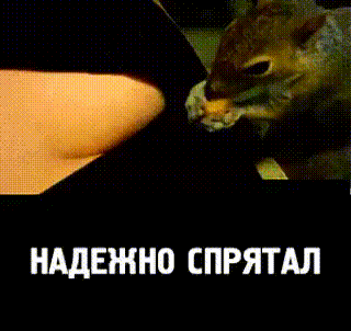 бурун.gif