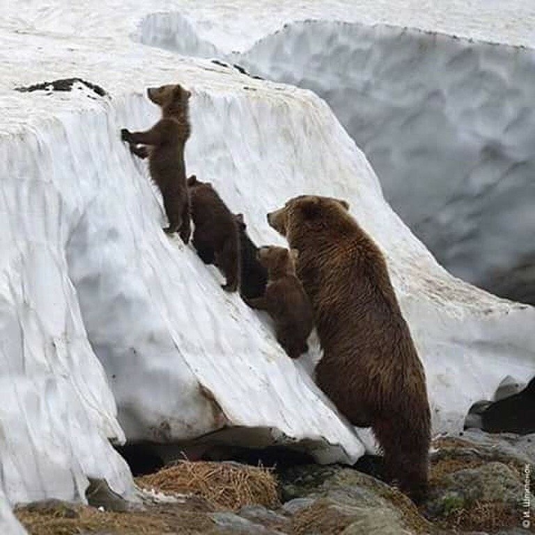 VK_Saved_Photo_ 636207980303377473.jpg