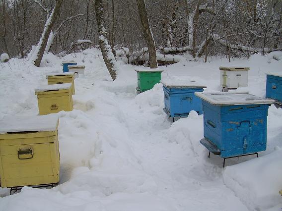 DSCN1417-убираем снег.JPG