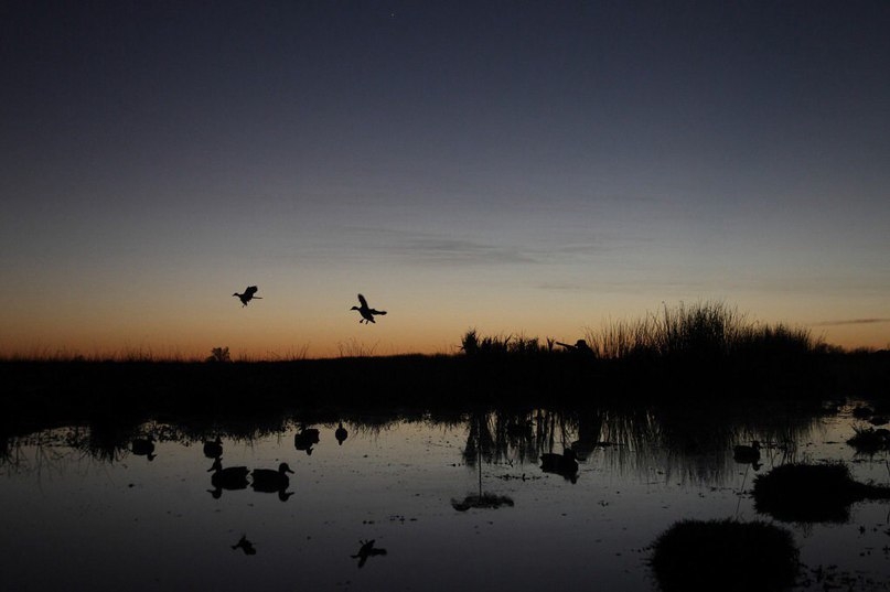 VK_Saved_Photo_ 636210634239047493.jpg