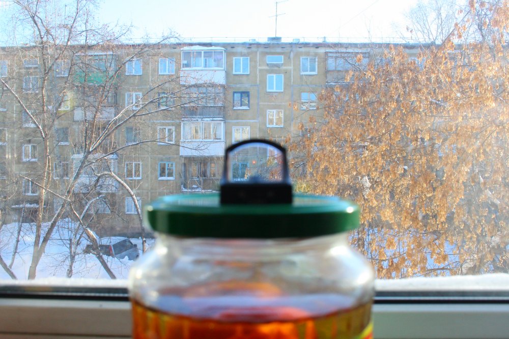 IMG_4523.JPG