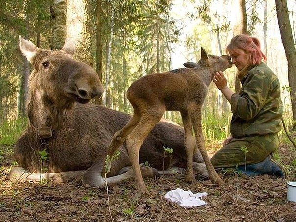 VK_Saved_Photo_ 636212867758417104.jpg